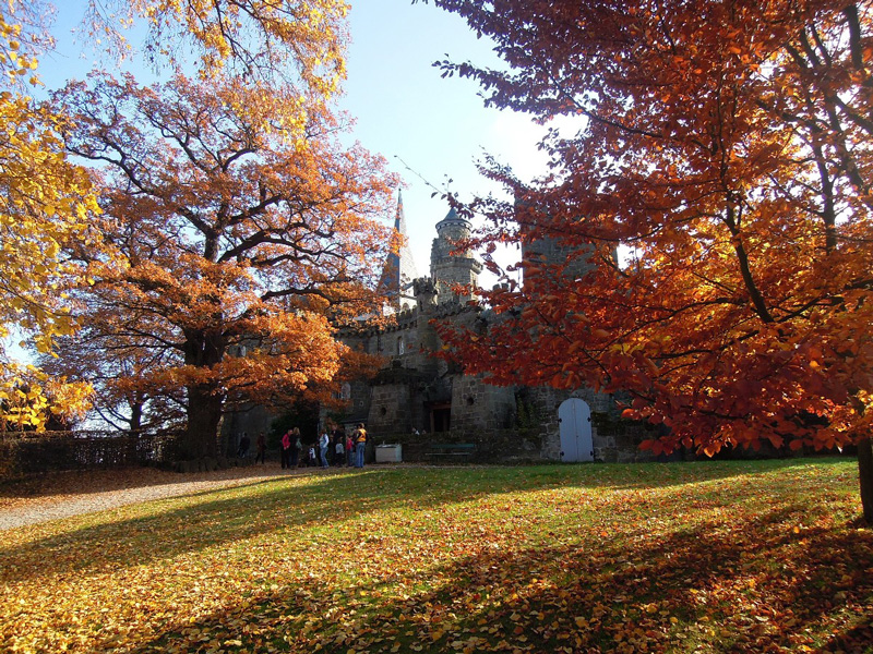 Herbstliche Wanderung zur Löwenburg (Foto © Karl-Hartmut Kipp)