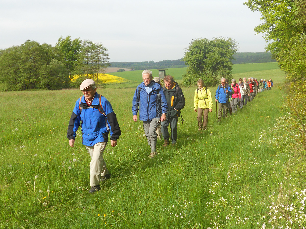 Wanderung auf dem Grimmsteig, 1. Etappe (Foto © Reinhard Duelfer 2014)
