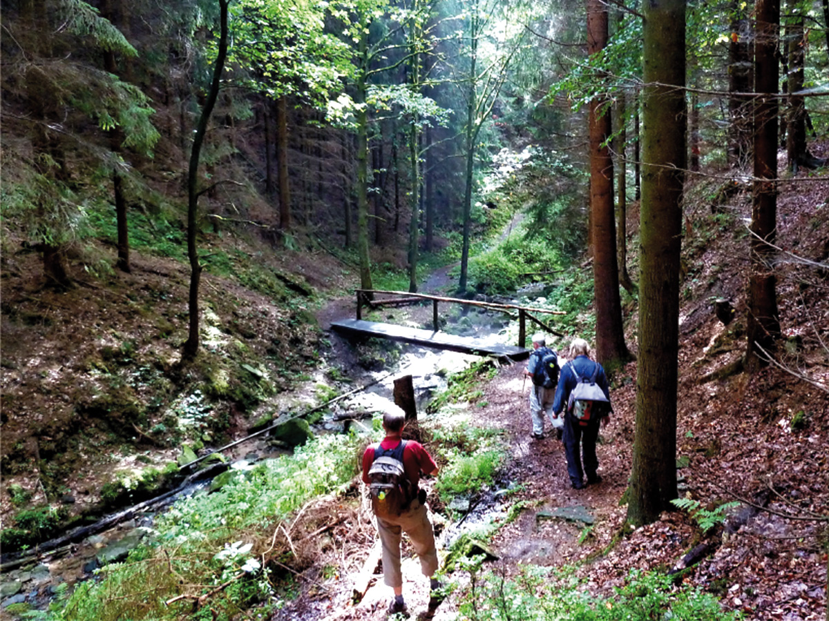 Das Obere Ickelsbachtal bei Landwehrhagen (Foto © Lothar Glebe)