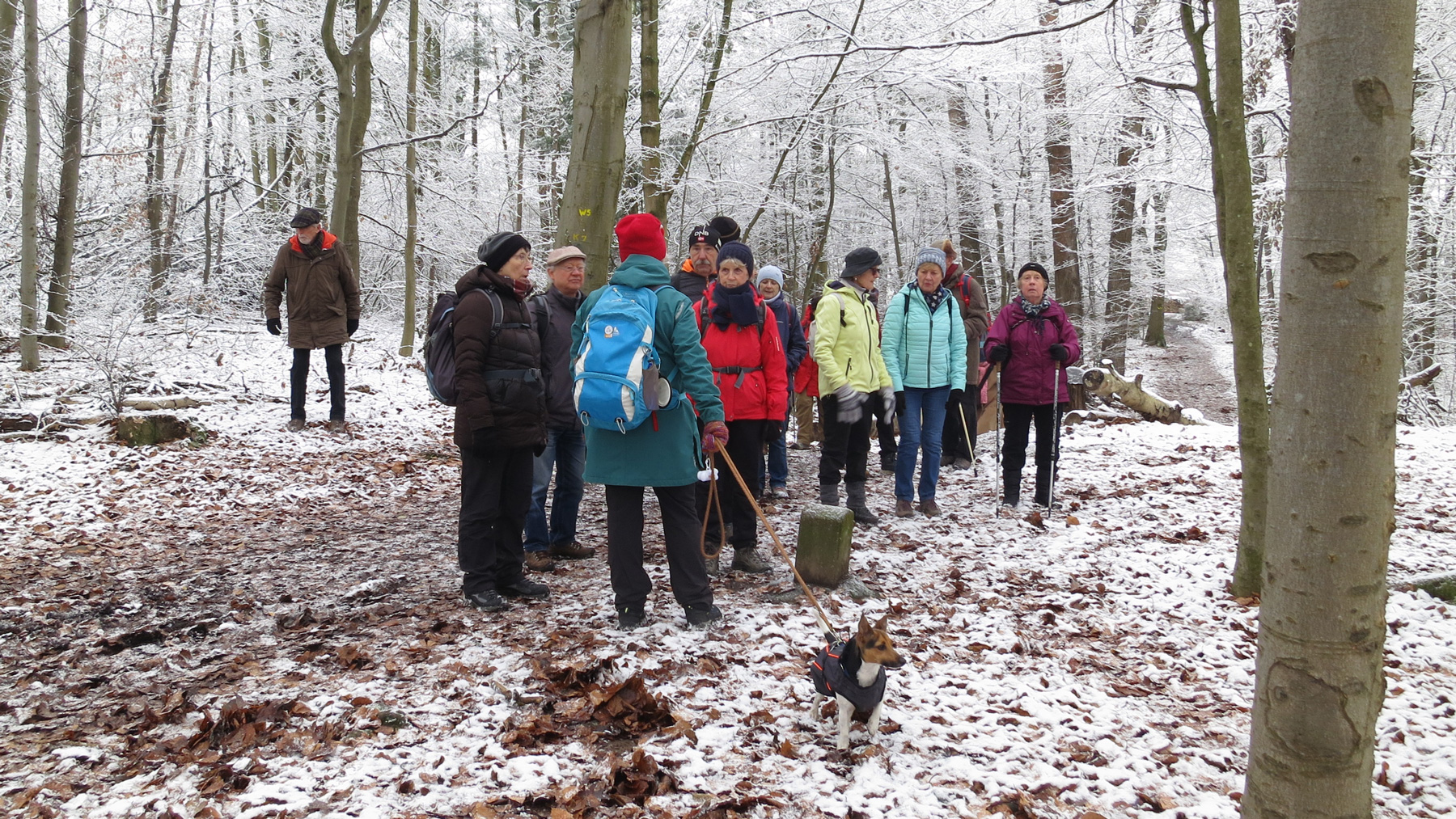 Radgruppe-Wanderung-Habichtswald-2022-IMG_2605